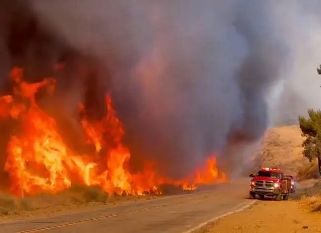Los bomberos ha podido contral al menos 16 hectáreas de bosque / Redes Sociales
