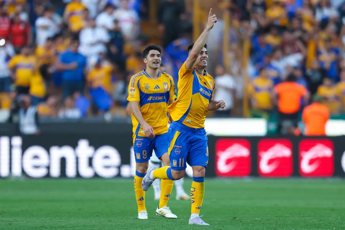 Tigres en su último jugo | IMAGO7