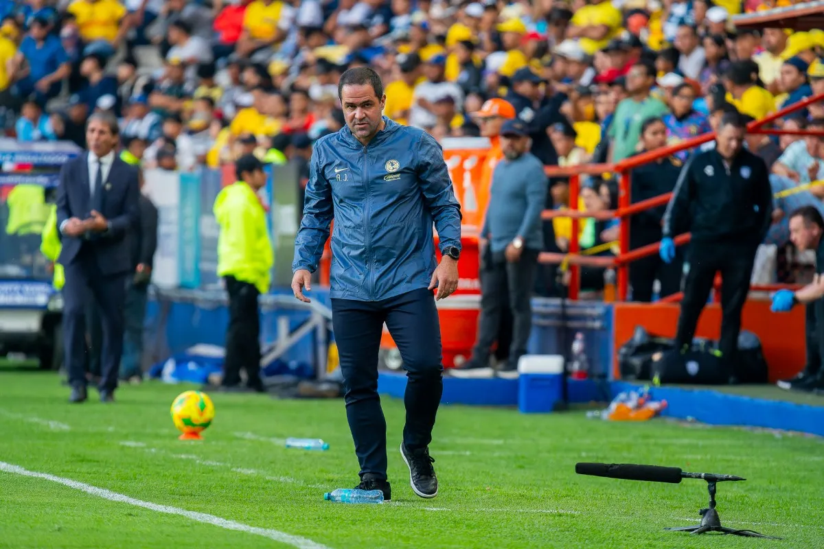 André Jardine | IMAGO7