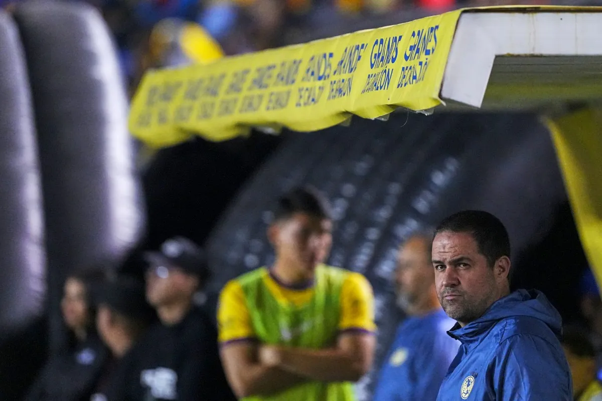 André Jardine | IMAGO7