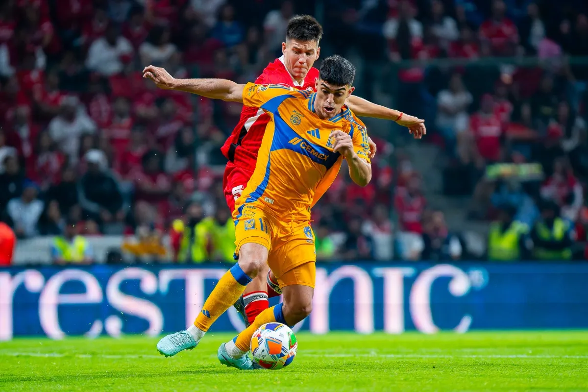 Brunetta con Tigres | IMAGO7