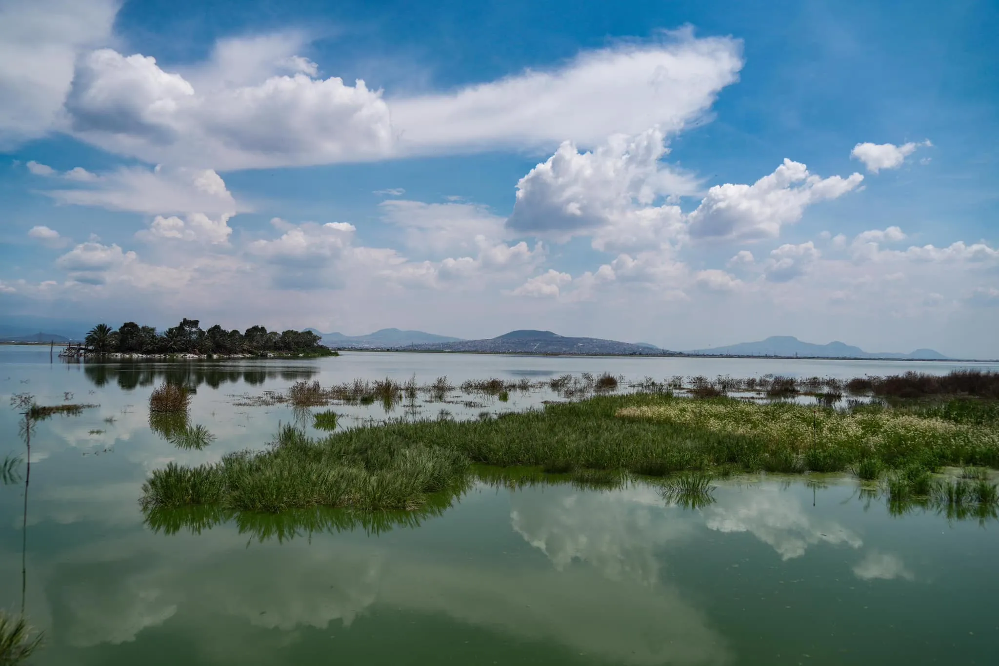 Sus acciones eco-hidrológicas fueron reconocidas por la Unesco / Redes Sociales