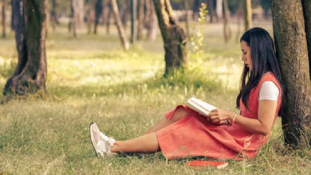 En 2024 la sociedad lectura en México sólo leyó en promedio 3.2 libros en el año/Pixabay