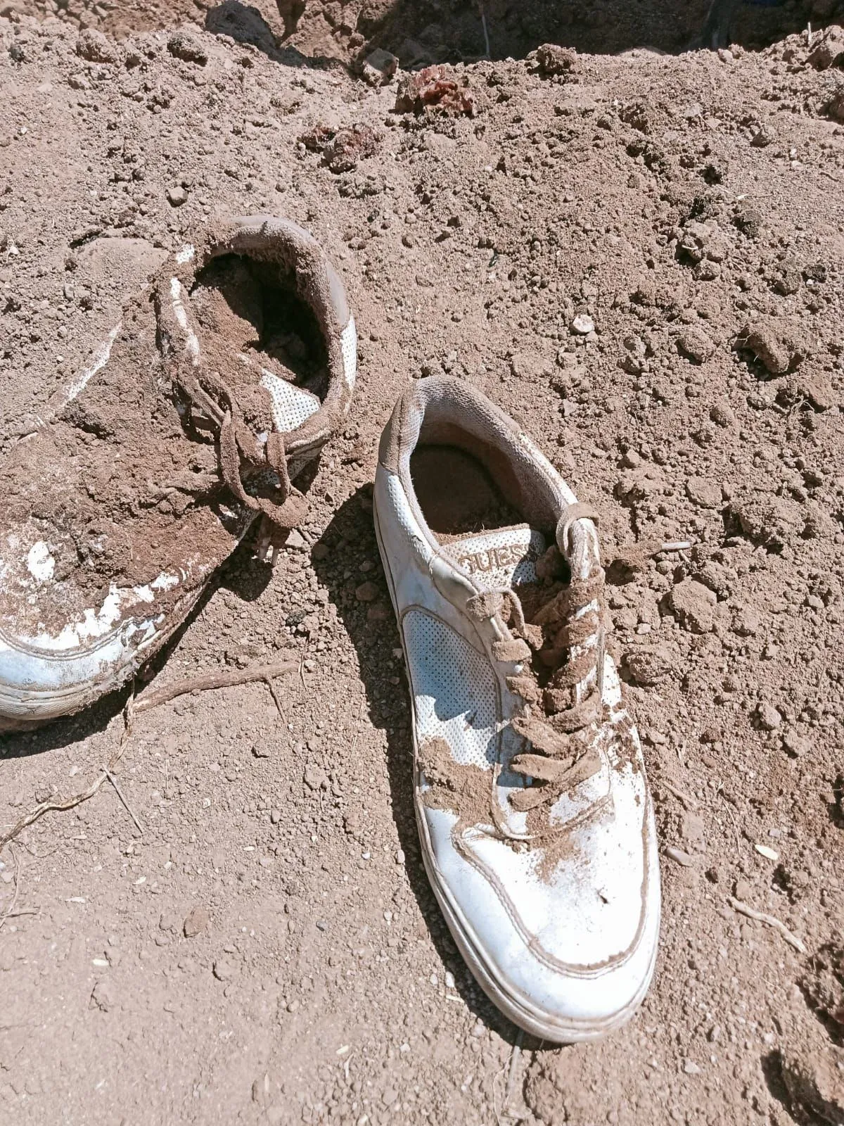 En México existen decenas de grupos de madres buscadoras / Rede Sociales