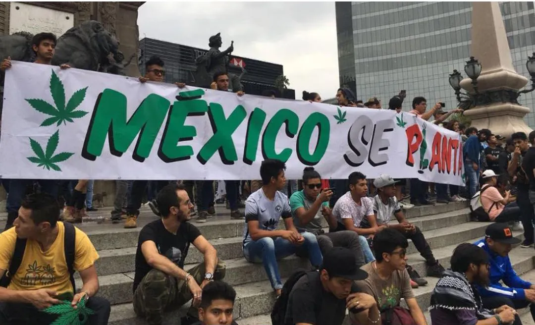 Este domingo en varios puntos la gente se reunirá / FB: @MovimientoCannabicoMexicano