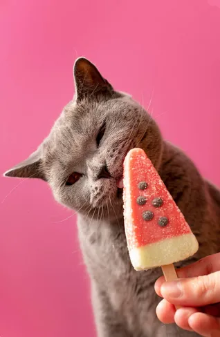 En estos días se esperan altas temperaturas en el país / FREEPIK