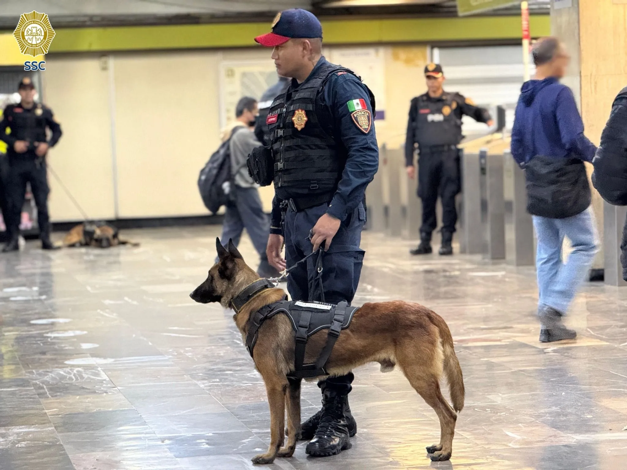 Los caninos podrán detectar cualquier droga que los pasajeros lleven / FB: @PoliciaCDMX