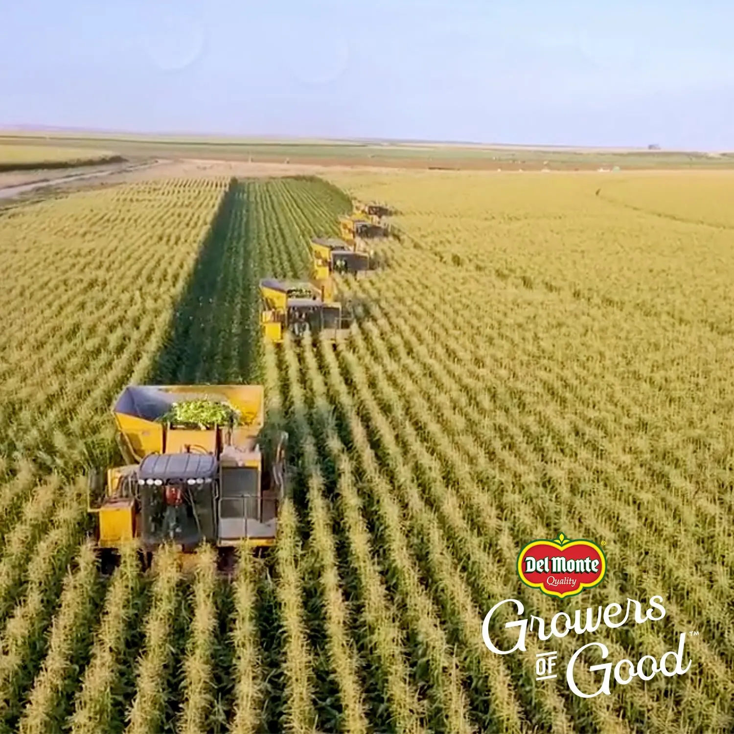 Ahora la empresa de productos enlatados busca no desaparecer / FB: @delmonte