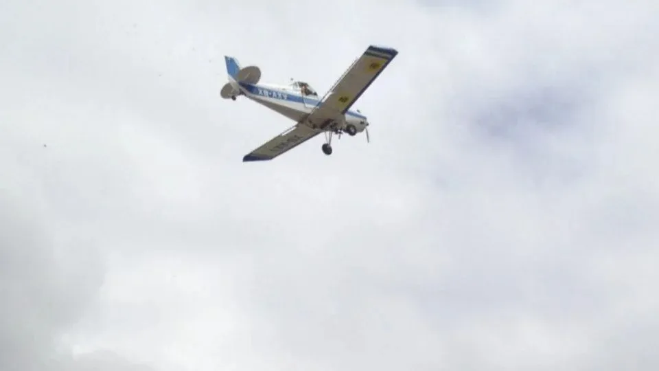 Se investigan las causas de la caída de la avioneta en Nebraska / Redes Sociales