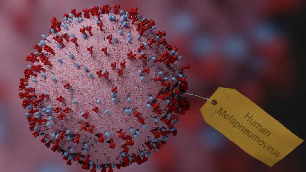 En China aumentaron los casos de metapneumovirus en las últimas semanas/Pixabay