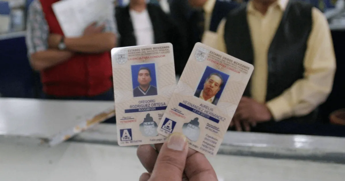 ¿Cómo tramitar la licencia permanente? / Ovacioens