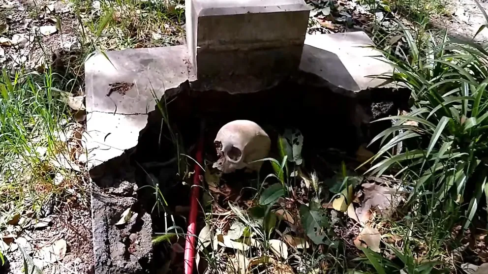 La ayuda será para gente que busca algún familiar desaparecido / Redes Sociales