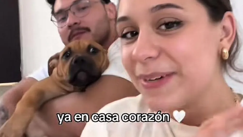 El desenlace fue afortunado para ambas mascotas, que lograron reencontrarse con sus respectivos dueños/Redes Sociales