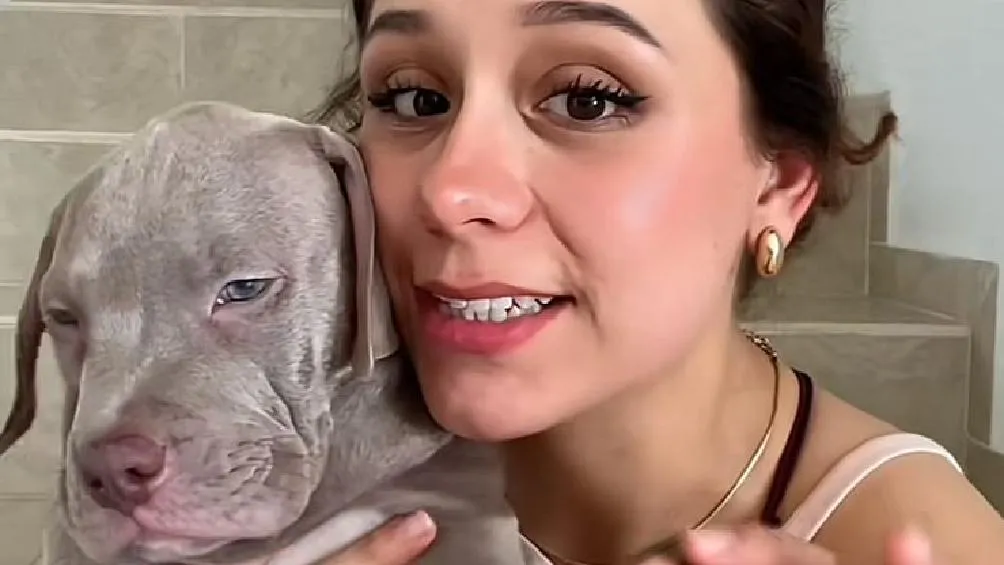 Una usuaria de TikTok, identificada como&nbsp;@latripleefe, vivió un&nbsp;angustiante momento&nbsp;al recibir a un&nbsp;cachorro&nbsp;que no era&nbsp;suyo&nbsp;luego de un&nbsp;vuelo/Redes Sociales