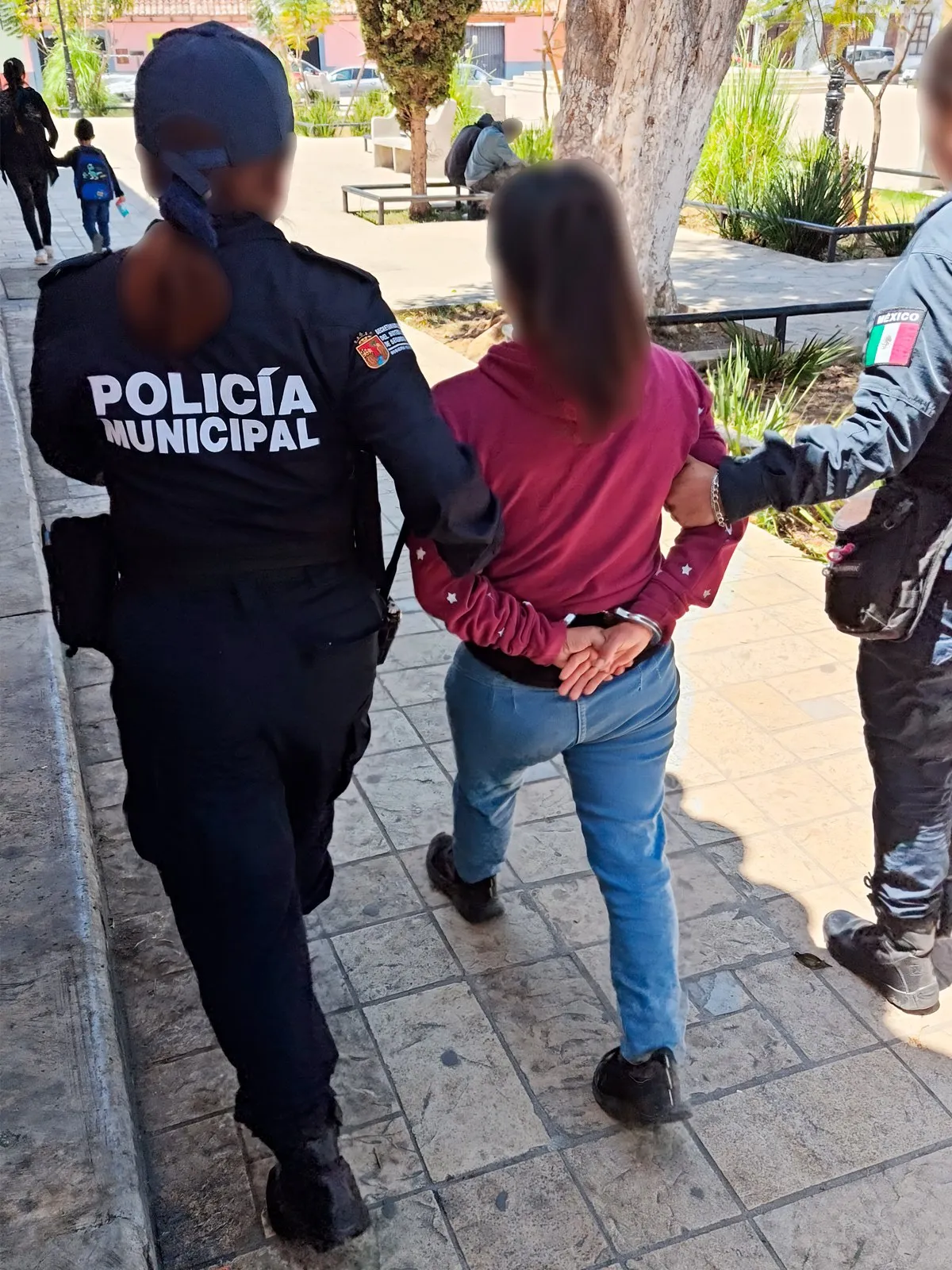 Puedes pasar varios años en prisión si traficas aves / Redes Sociales