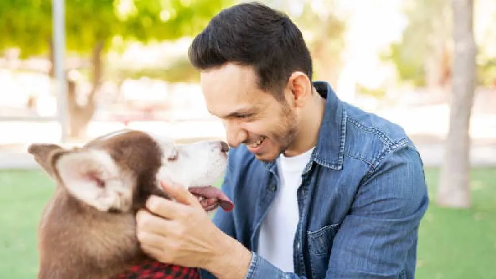 La adopción de 'perrhijos' incluye tanto a mujeres como hombres/Pixabay