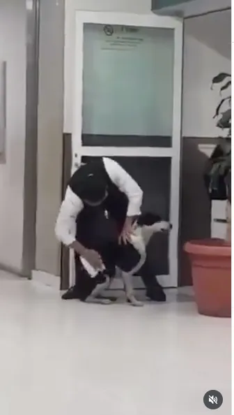 El guardia de seguridad lo secó y protegió / Redes Sociales