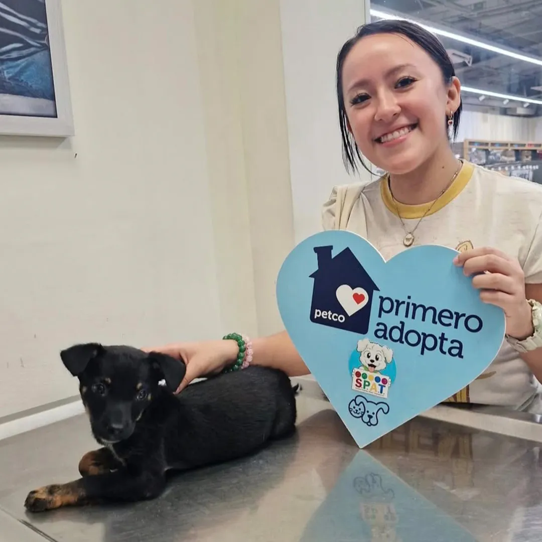Súmate a la campaña Primero Adopta dentro de las tiendas de Petco / Especial