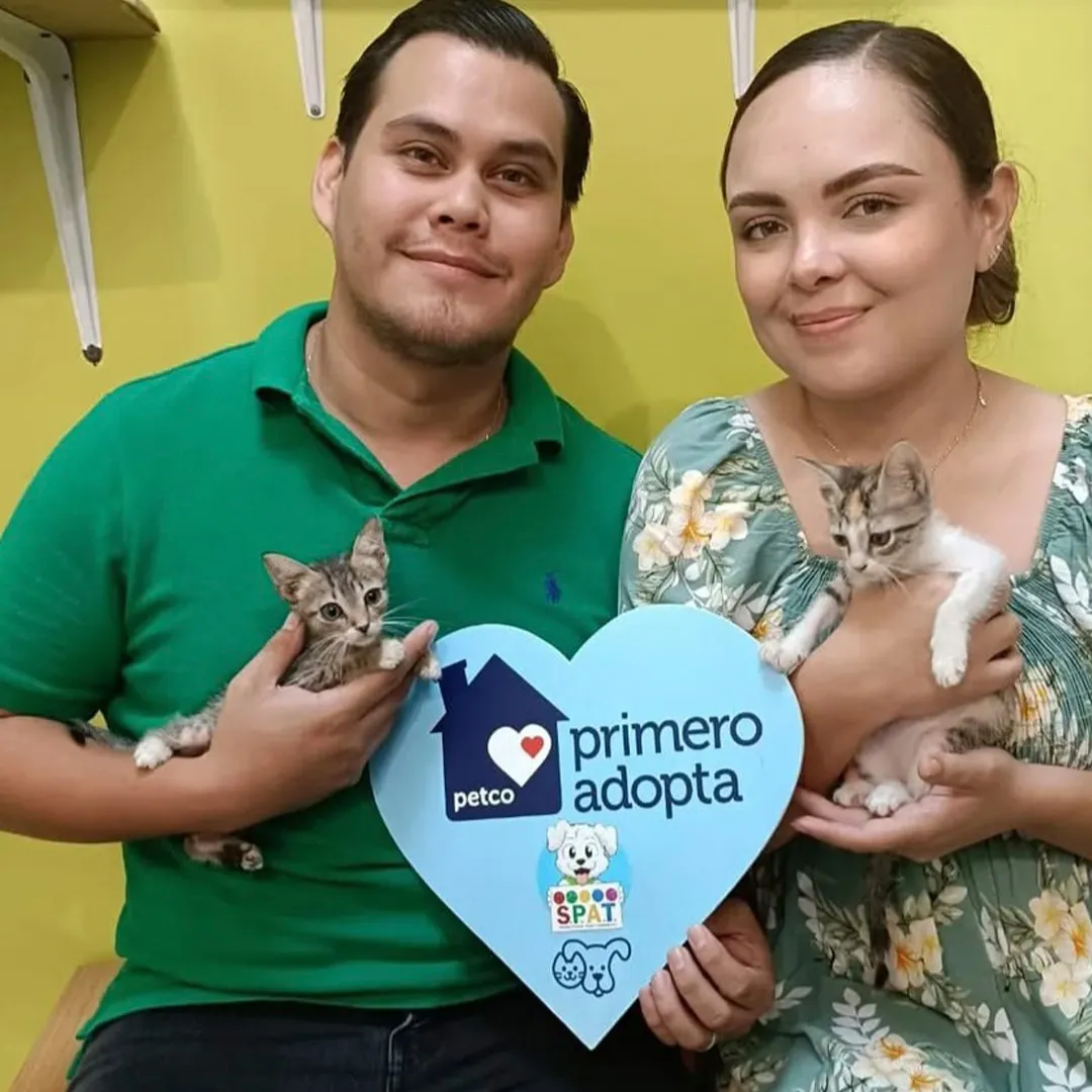 Podrás adoptar perros, gatos, aves y más especies / Especial