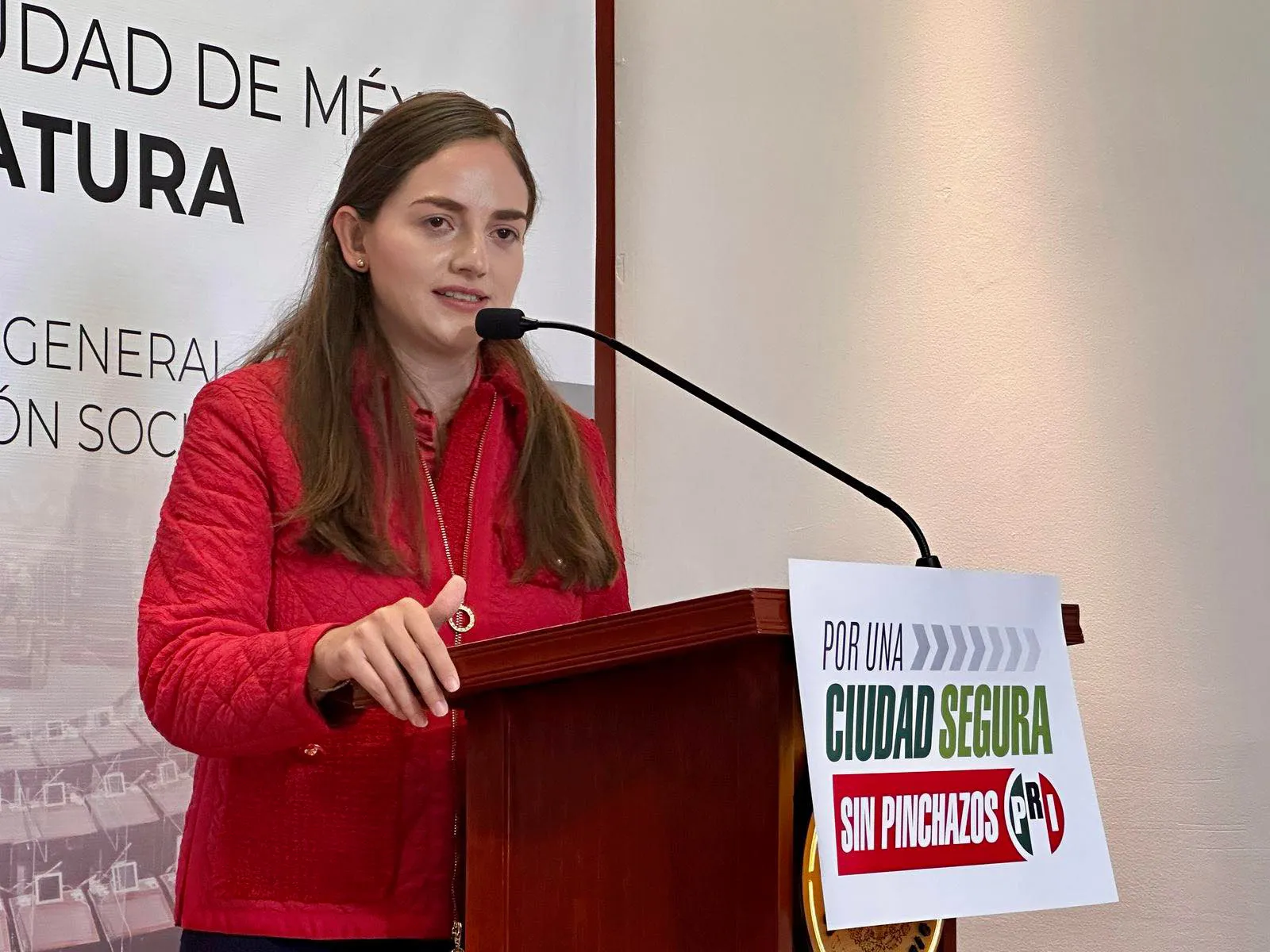 La diputada Tania Larios pidió tipificar los pinchazos en el Metro / Redes Sociales