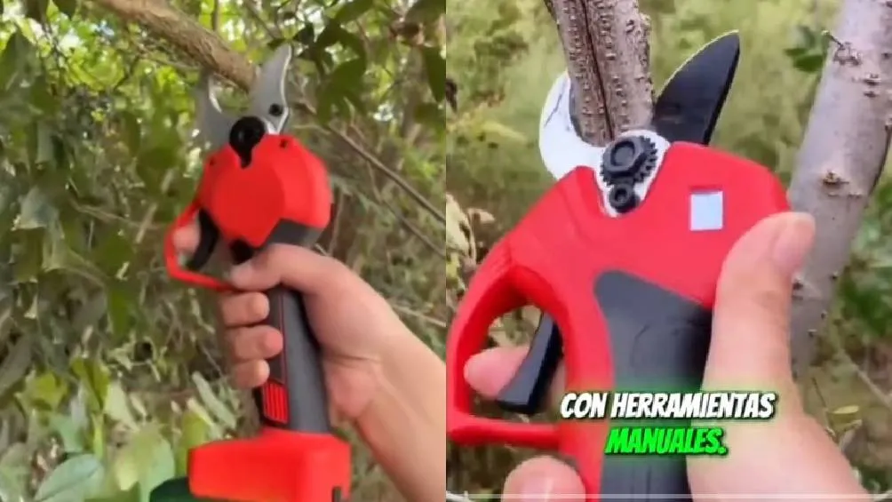 Fueron unas tijeras de jardinería las que le provocaron una fractura a Jimmy/IG: @pongamoslo_a_prueba