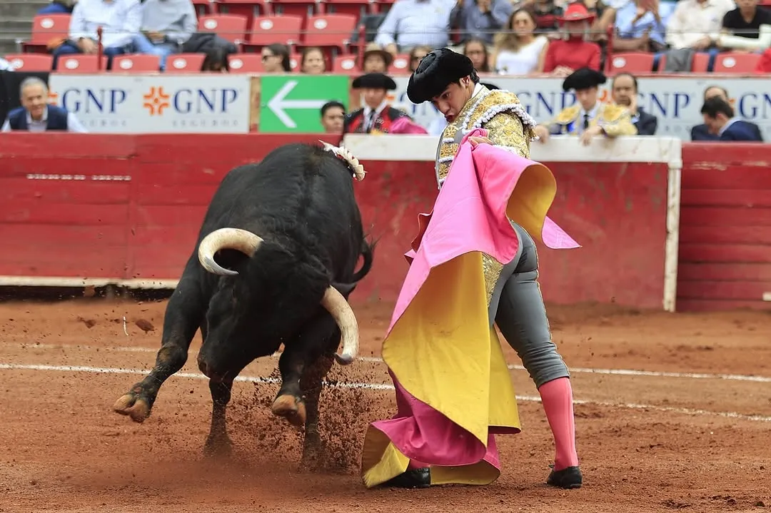 Con las regulaciones se busca tener un espectáculo libre de violencia