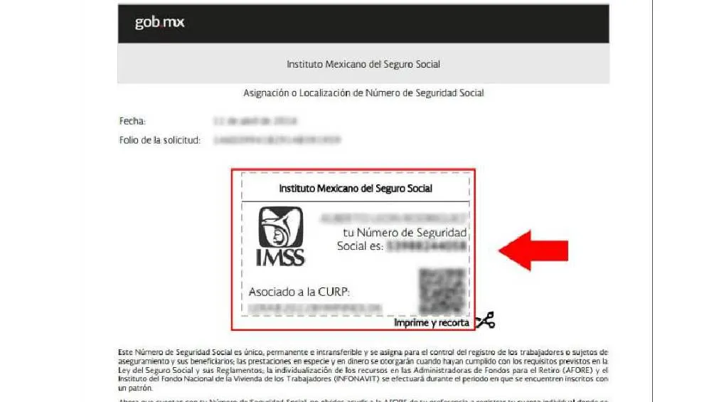 El Número de Seguridad Social (NSS) constituye un identificador único asignado a cada individuo en México. | Captura de pantalla
