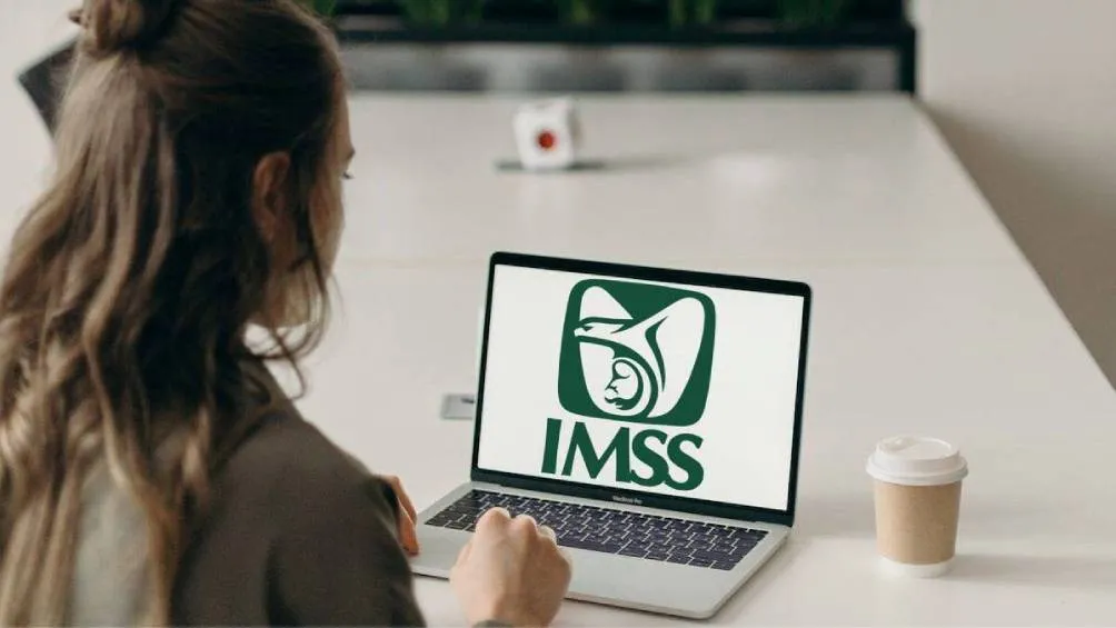El Número de Seguridad Social (NSS) es un identificador personal que proporciona el Instituto Mexicano del Seguro Social (IMSS). | X