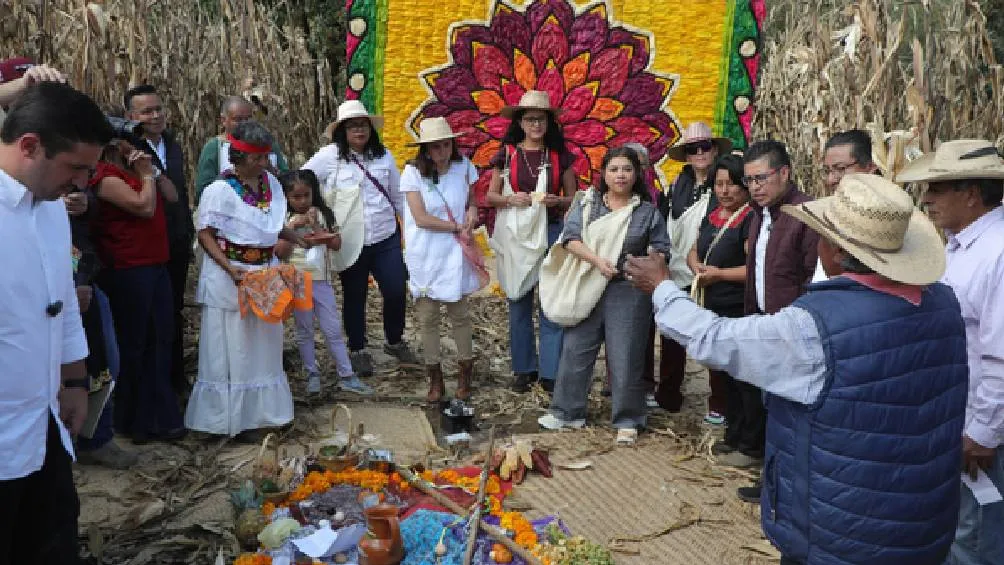 Clara Brugada, la jefa de Gobierno de la Ciudad de México, acaba de anunciar que van a abrir tortillerías comunitarias que usarán maíz nativo de las alcaldías con suelo de conservación. | Gobierno de México