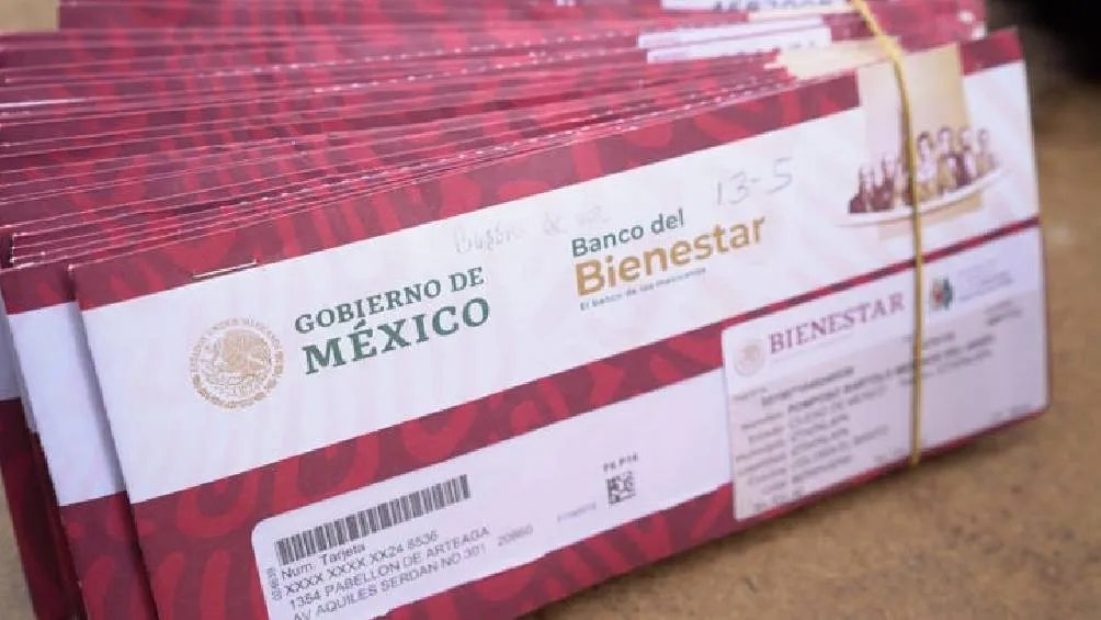 Este programa tiene como finalidad proporcionar apoyo social a adultos mayores de 65 años. / X