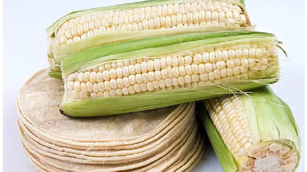 Clara Brugada destacó que en México existen 64 variedades de maíz, de las cuales 9 son comunes en la Ciudad de México. | Pixabay