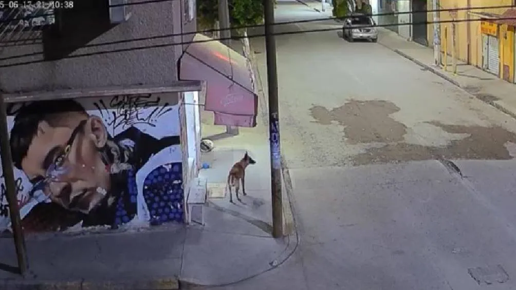 El perrito se encontraba afuera de una tienda de abarrotes cuando José Agustin &quot;N&quot; lo atacó. / Redes sociales