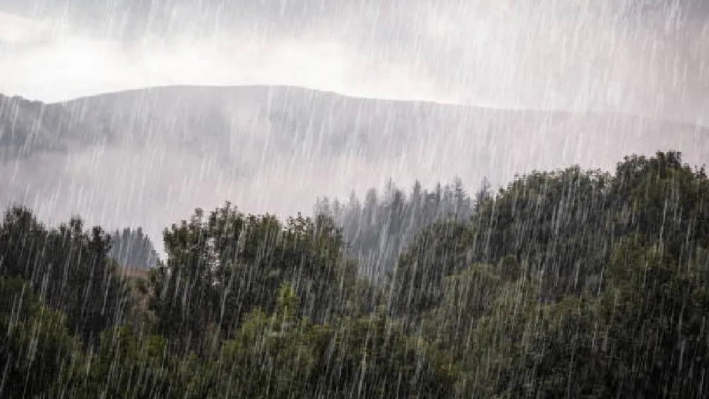 Mantente informado por fuentes oficiales. | iStock