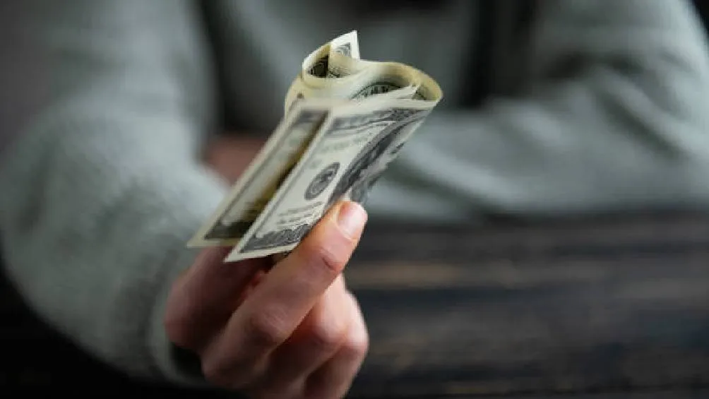 El 24 de diciembre, la moneda mexicana se establece en un tipo de cambio de 20.13 unidades por dólar.| Pixabay