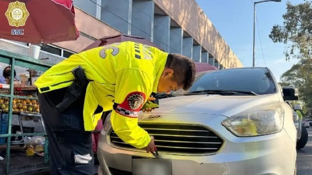 El Artículo 45 del Reglamento de Tránsito exige que las placas de los vehículos sean siempre visibles./ SSC