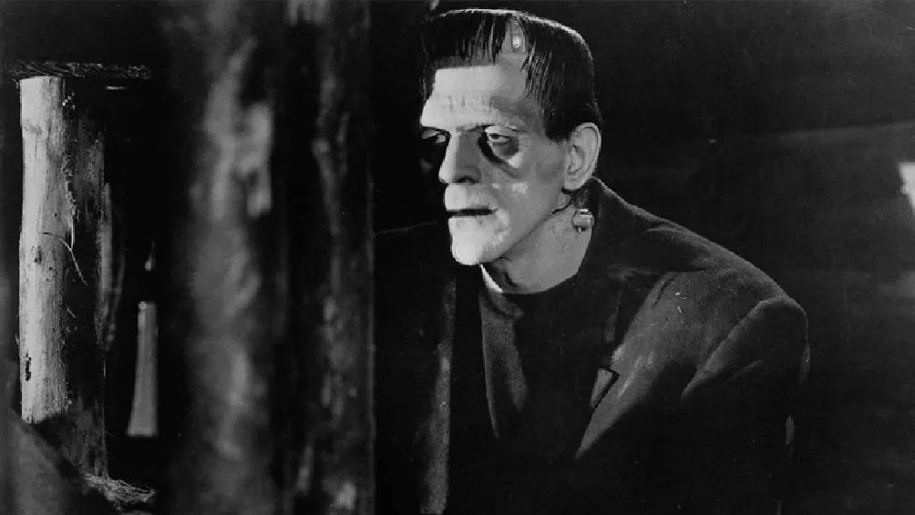 La obra &quot;Frankenstein&quot;, escrita por Mary Shelley. | RS