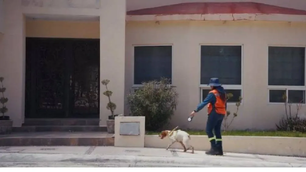 Mariana Celaya y Manchas conforman un equipo único en México que luchacontra el desperdicio de agua. / IG: saltillogob