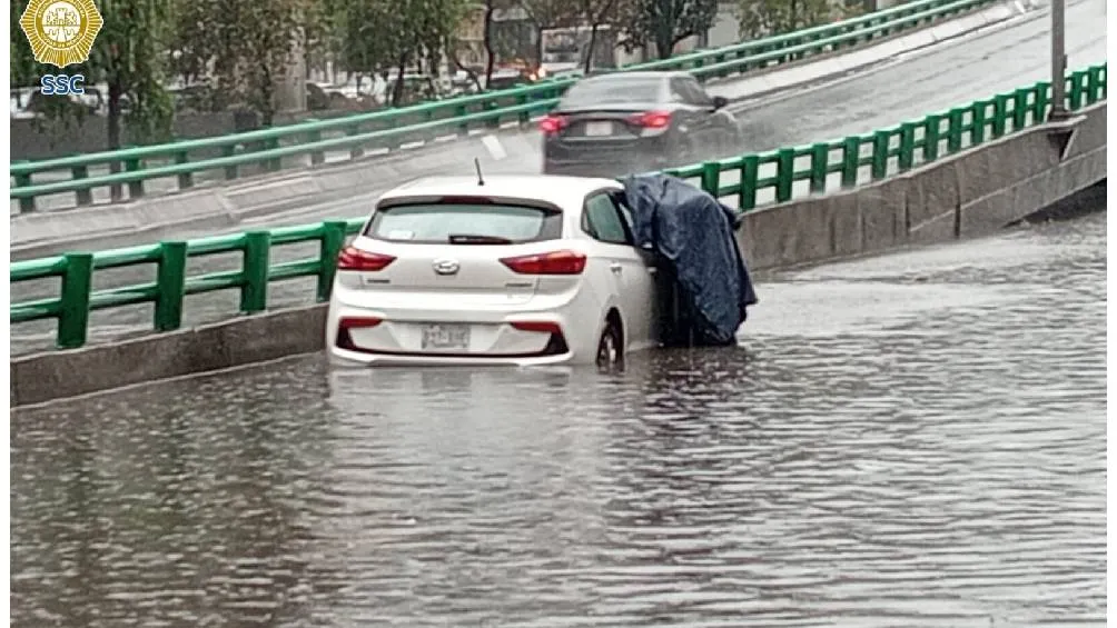 se sugiere no resguardarse bajo árboles y evitar transitar en zonas donde puedan caer ramas./ SSC
