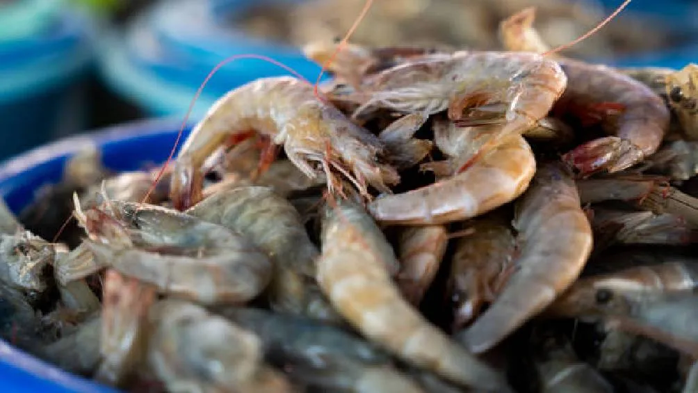 Durante el periodo de Cuaresma, el precio de los pescados y mariscos ha experimentado un incremento. / Pixabay