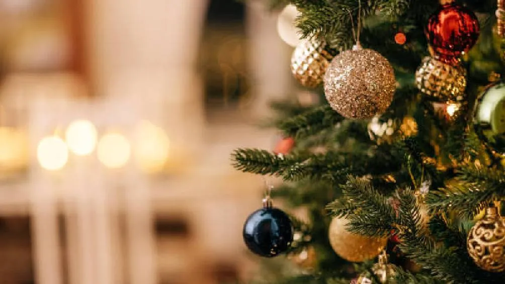 La Nochebuena se celebra la noche del 24 de diciembre, marcando la víspera de Navidad. | Pixabay