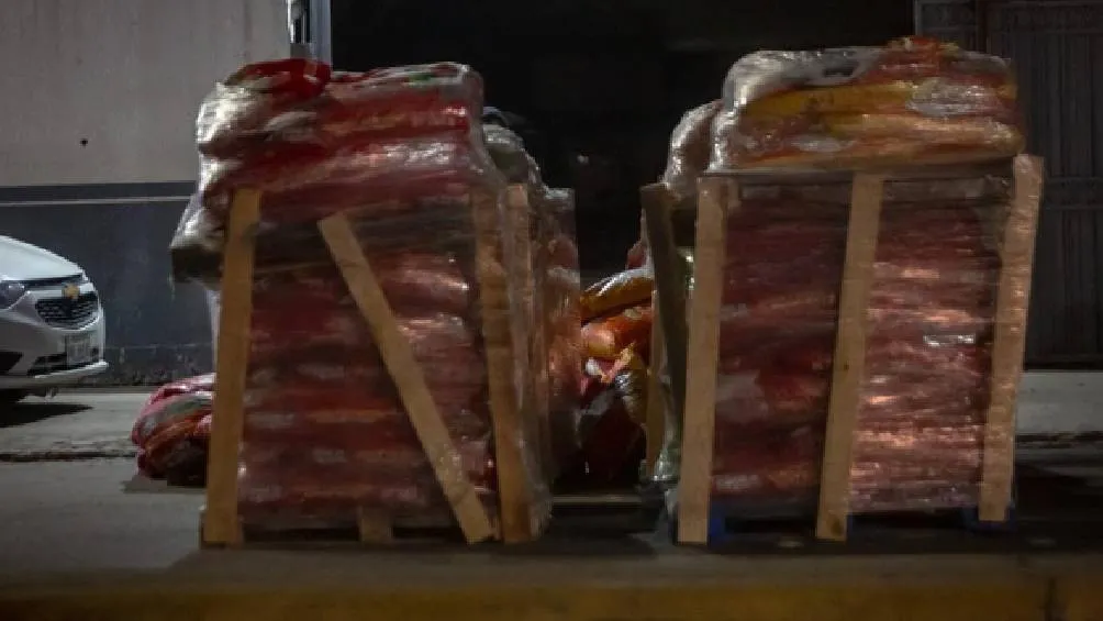 Asimismo, se encontró un arma de fuego y 64 cartuchos, los cuales fueron entregados a la Fiscalía General de la República. | La Jornada BC