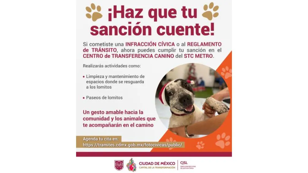 El organismo informó en sus redes sociales que las actividades están dirigidas a ciudadanos sancionados por infracciones de fotocívica.| Justicia Cívica