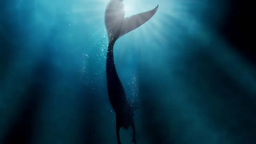 ¿Alguna vez soñaste con convertirte en sirena? / iStock