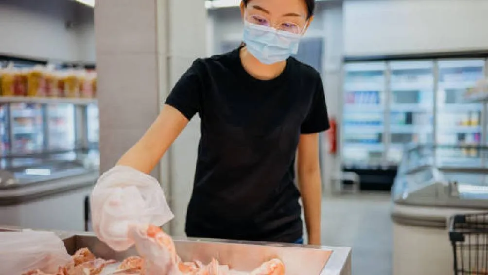 Se trata del 19º brote de gripe aviar de la temporada en Japón, según el Ministerio de Agricultura.| Pixabay