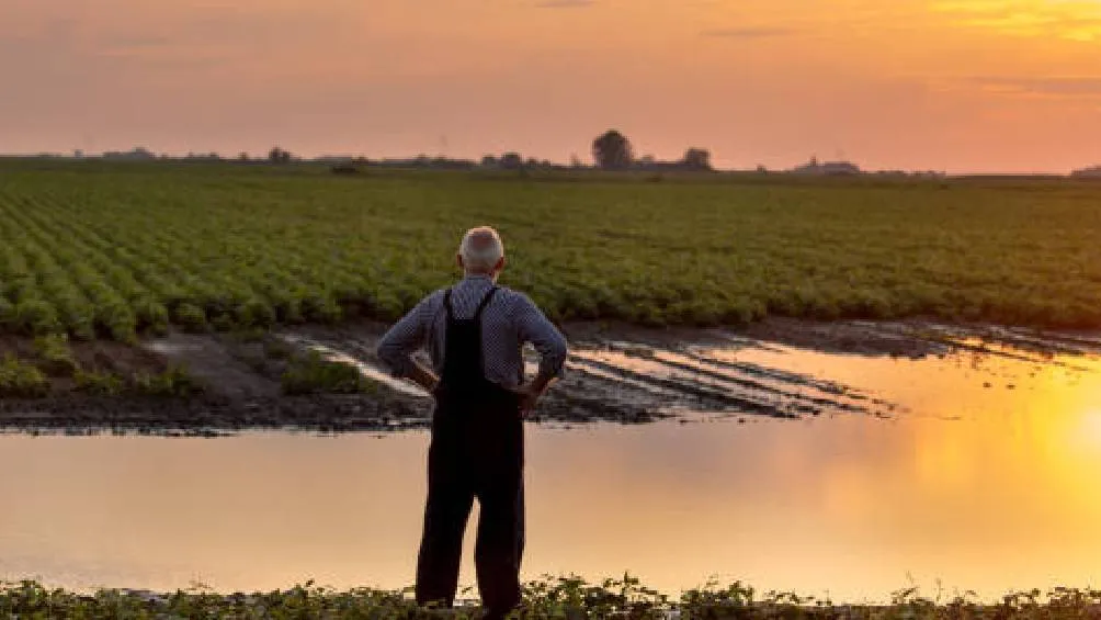 . Cada día de enero se asocia con un mes del año. | Pixabay