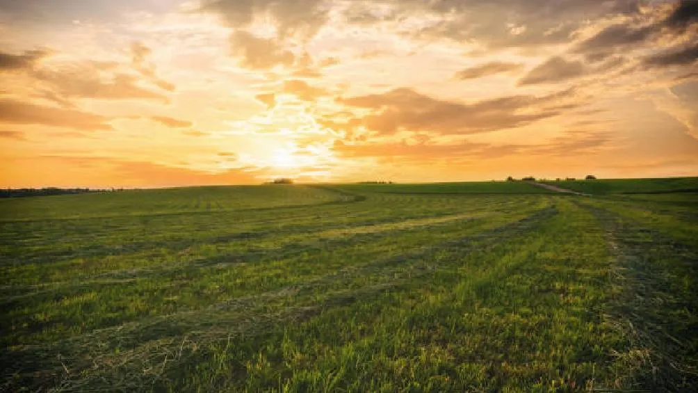 Las cabañuelas constituyen una tradición en México que permite prever las condiciones climáticas del año. | Pixabay