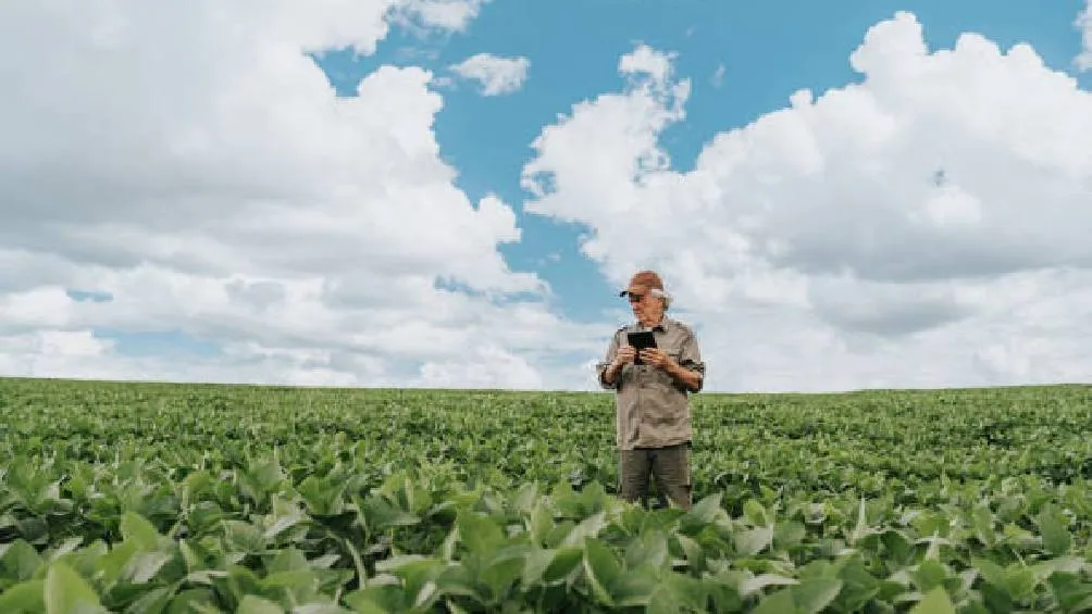 Las cabañuelas constituyen una tradición en México que permite prever las condiciones climáticas del año. | Pixabay |
