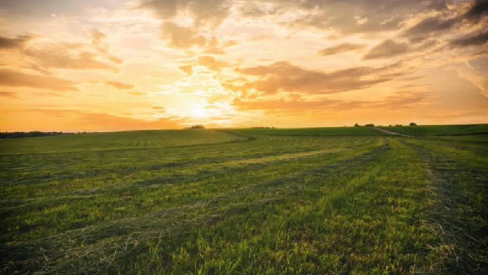 La primera quincena abarca de enero a diciembre, y la segunda quincena se destina a otros fenómenos.| Pixabay |