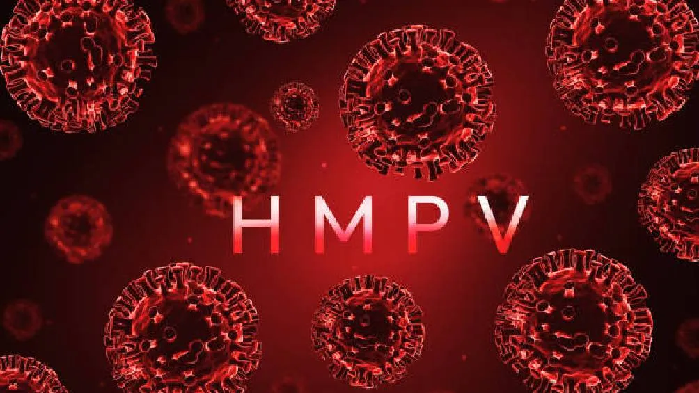 El metapneumovirus humano (HMPV) puede causar síntomas respiratorios similares a los de otras infecciones virales. | Pixabay