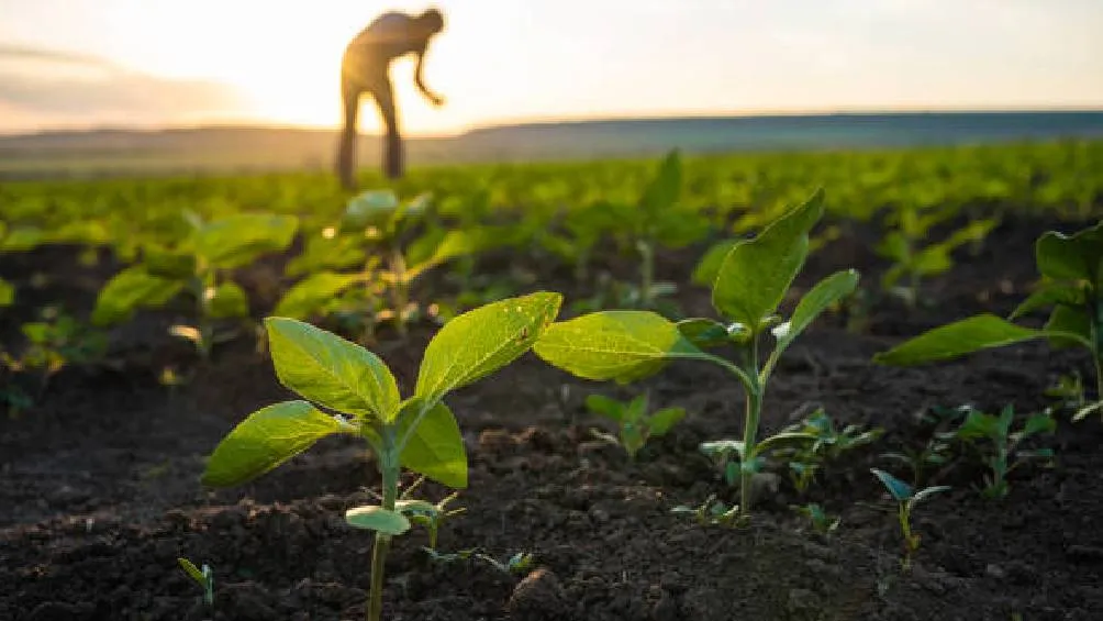 Cada día de este mes se relaciona con un mes del año, lo que ayuda a prever las condiciones climáticas. | Pixabay